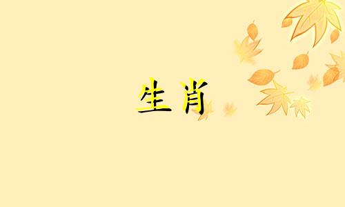 1976年属于什么生肖的龙?