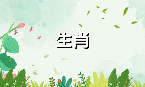 1982属狗41岁后有十年大运 1982属狗在2025以后十年大运