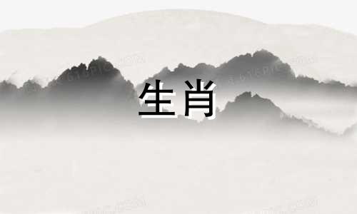 对于属猪的人来说，哪个属相最能带来财富，与哪个属相合作最有利？