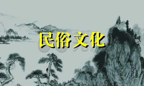 守宫风水禁忌图解图书版：家里养守宫对风水的影响