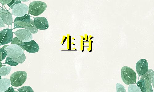 如何根据宝宝的生肖选择起名字