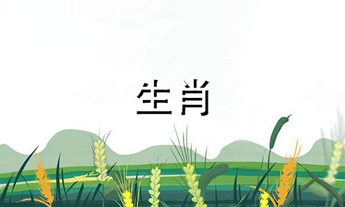 受人管制的生肖有哪些属相 机关算尽过分精明反招人讨厌的生肖有哪几个