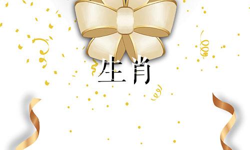 如何评估生肖狗的贵族和小人特征 分析生肖狗的贵人和小人属相