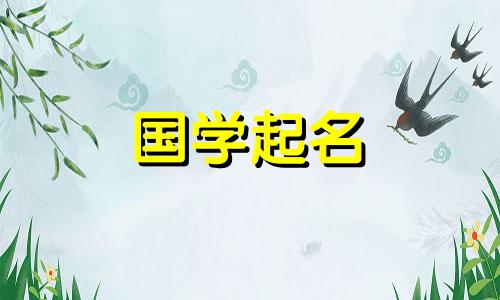 2023年农历十一月二十日元旦出生的女生，其五行属性是什么？女孩名字解析大全