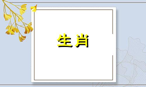 在12生肖中，小龙代表什么生肖？请问大龙和小龙分别是什么意思？