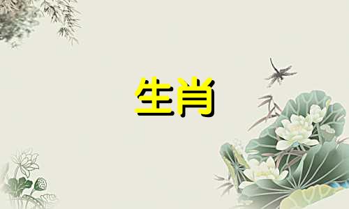 属相大龙是指哪个生肖的男孩呢？ 大龙的属相是哪一年的，属龙的人是哪一年出生的