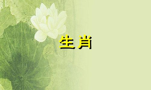 八卦虎属于哪个生肖属相呢 十二生肖与八卦方位的对应关系