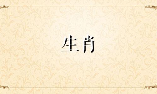 哪些生肖男生最有情有义，待人真诚和善可爱呢？