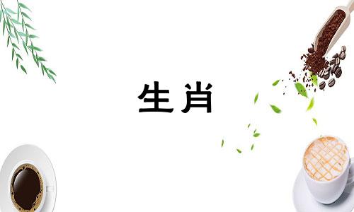 哪些生肖属相是比较好的 在十二生肖中，哪些生肖是最好的