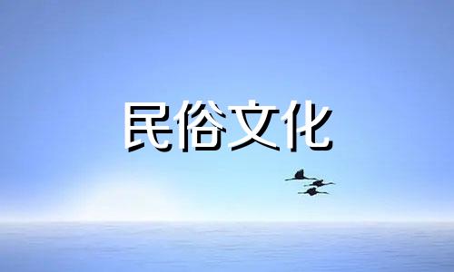 室内养鹅风水禁忌大全图片 家里养鹅对家庭风水有何影响