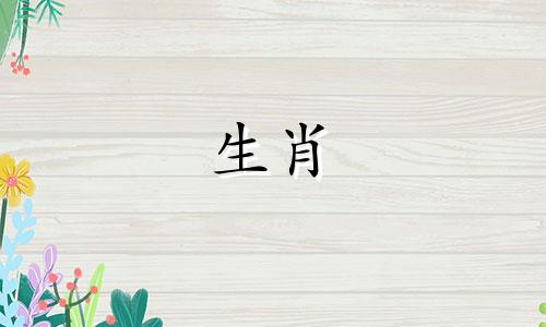 去年四十岁属什么生肖属相 40岁属什么生肖