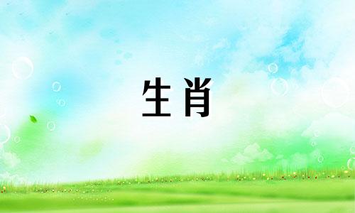 在十二生肖中,哪四个属相被认为是最聪明的?