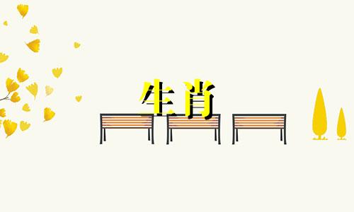 如何化解生肖不合的属相冲突