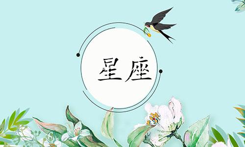 金牛座将在2024年开始腾飞。