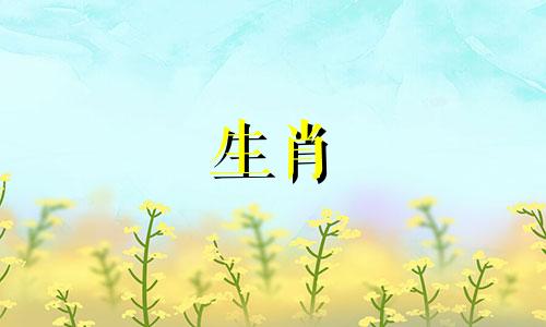 2023年6月9日的特吉生肖属相是八月二十二日。