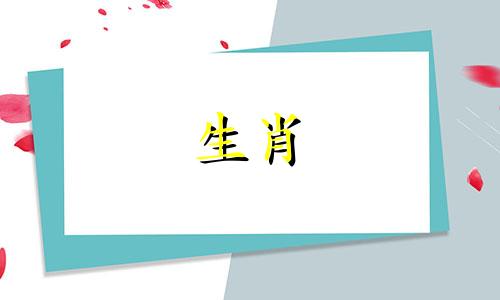 与猪和羊生肖相配的属相 猪和羊的最佳配偶,男性属猪女性属羊是否相配