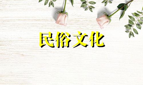 土鳖虫的风水影响与注意事项 家中出现土鳖虫的迹象