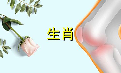 在十二生肖中，哪些属相被认为是比较辛苦的 即像牛和马一样特别劳累的是哪个生肖