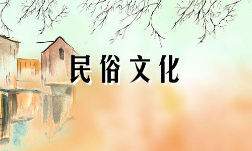 有哪些风水禁忌与家中的宝相花木有关?