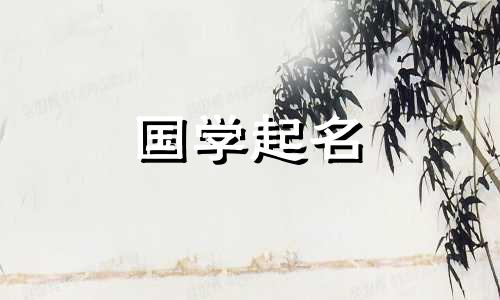 为2024年出生的龙宝宝取名，根据其生辰八字进行命名