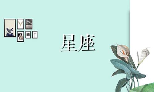 星座分析图：十二星座爱情的小游戏