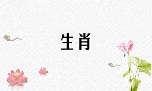 关于十二生肖中兔子的故事是什么？