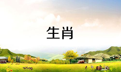 十二生肖男女年龄配对表 详细配对表，男女年龄属相配对