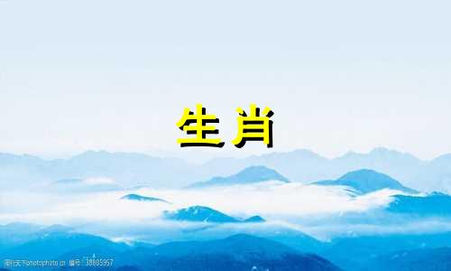 哪个生肖是由大小组合而成的 大小组合挑二九招七惹八是什么生肖