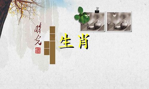 命理师讨论生肖属相的相容性 属牛和属龙的人是否相合，属龙的人和属牛的人是否