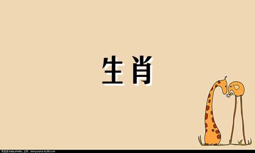 十二生肖不同属相的命运 十二生肖分别是什么命运