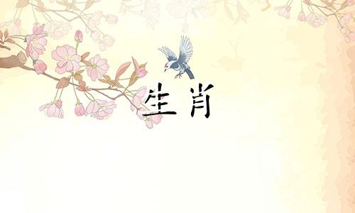 十二生肖属相的幸运绿植 十二属相的幸运花