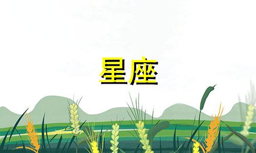 摩羯女与天蝎男的情感星座分析 天蝎座男性与摩羯座女性的配对指数