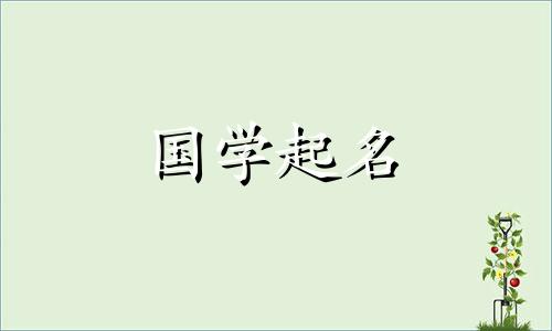 2023年农历腊月初六出生的属兔女孩,具有聪明睿智和涵养的名字。