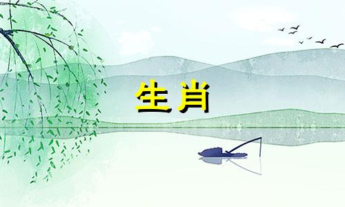 周公解梦：梦见刚出生的小孩代表什么生肖？