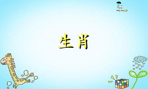 在十二生肖中，哪些属相被认为是最好的？
