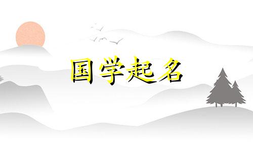 2024年新生儿起名字男孩子 2024新生儿起名字男孩姓张