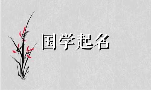 2023年农历腊月十三出生的女兔宝宝的命运如何？为这个聪明伶俐的女宝取名