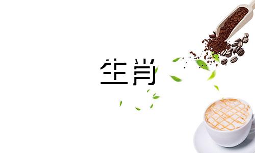 属鸡的男人最适合与哪个属相相配？