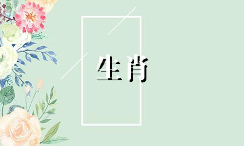 在十二生肖中，猪年出生的人最旺的属相是哪个？同时，猪年与哪个生肖最配？