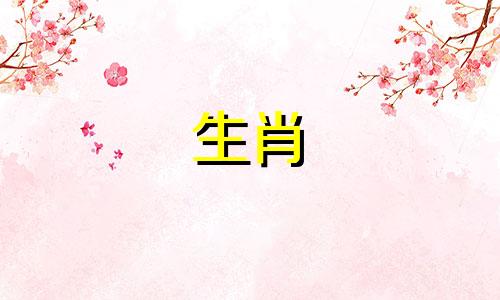 宋轶的生肖是什么？她什么时候离婚了？