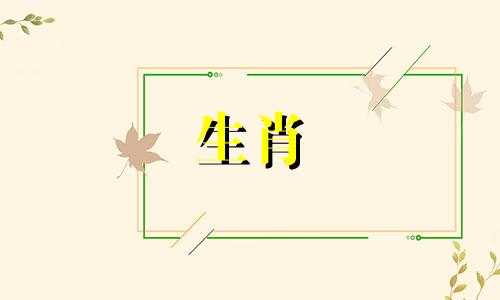 2022年虚岁49岁的女生属于哪个生肖属相？