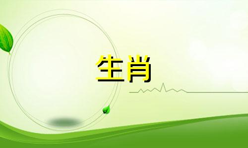 十二生肖中，哪个属相代表龙？