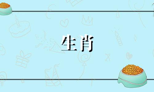 在十二生肖中，大属相是指哪些动物？