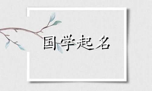 为2024年春节出生的男宝宝取一个开朗大方的名字