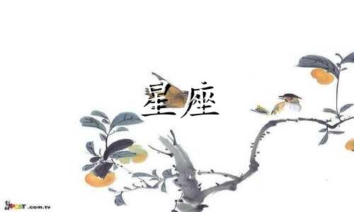 深入探讨最出色的星座女性 了解人性的星座女