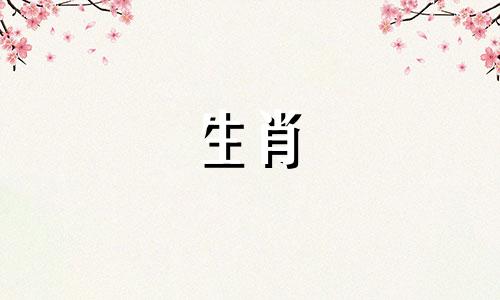 2023年59岁的人属于什么生肖属相?