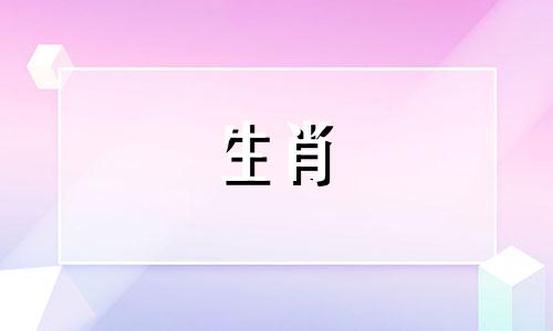 双生肖的属相结婚会幸福吗？属相相同的婚姻是否会带来幸福？属相相合的婚姻是否一定会很幸福？