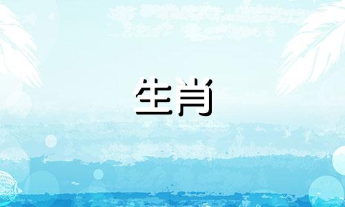 属猪人遇什么年财运旺呢 属猪人遇什么年好