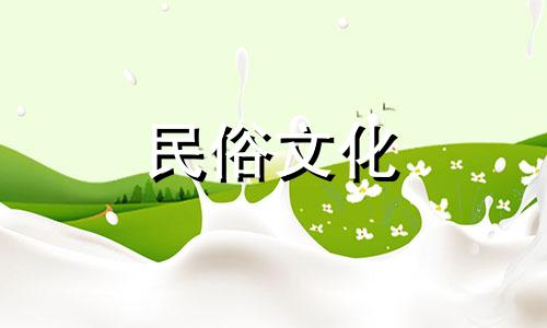 珊瑚石摆放位置的风水禁忌与养鱼的好处