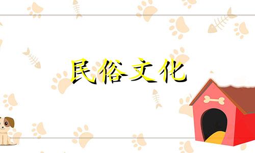 如何理解四柱八字并排序算命